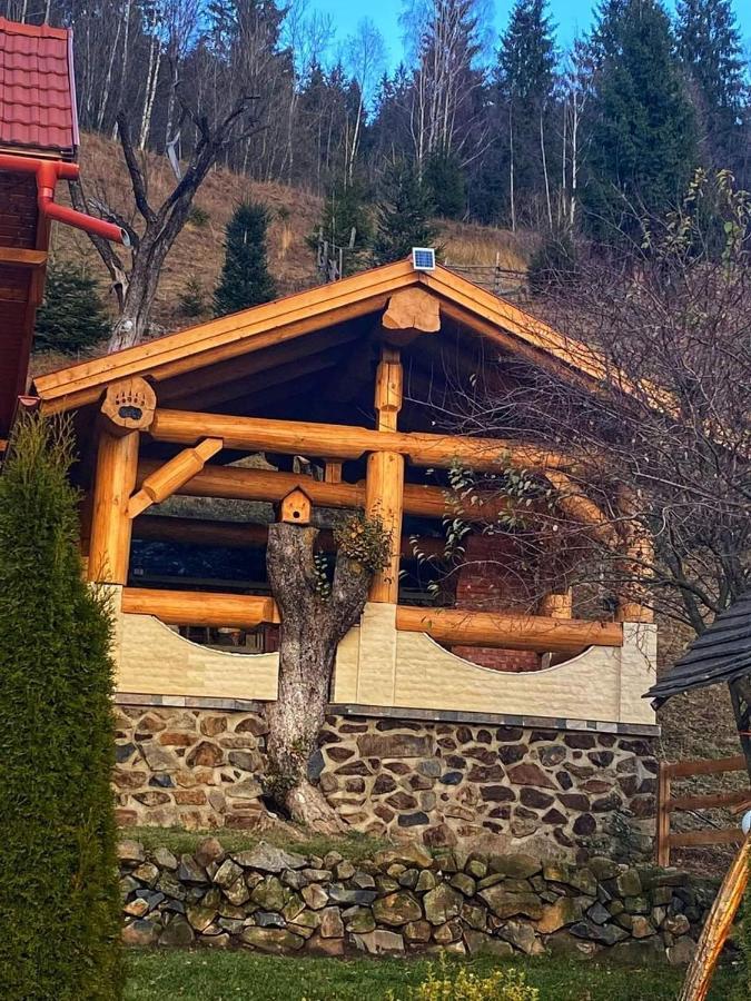 Casa Anghel Villa Bilbor Luaran gambar